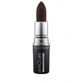 - POSTQUAM - Barra de Labios Retromate VINO 4 gr